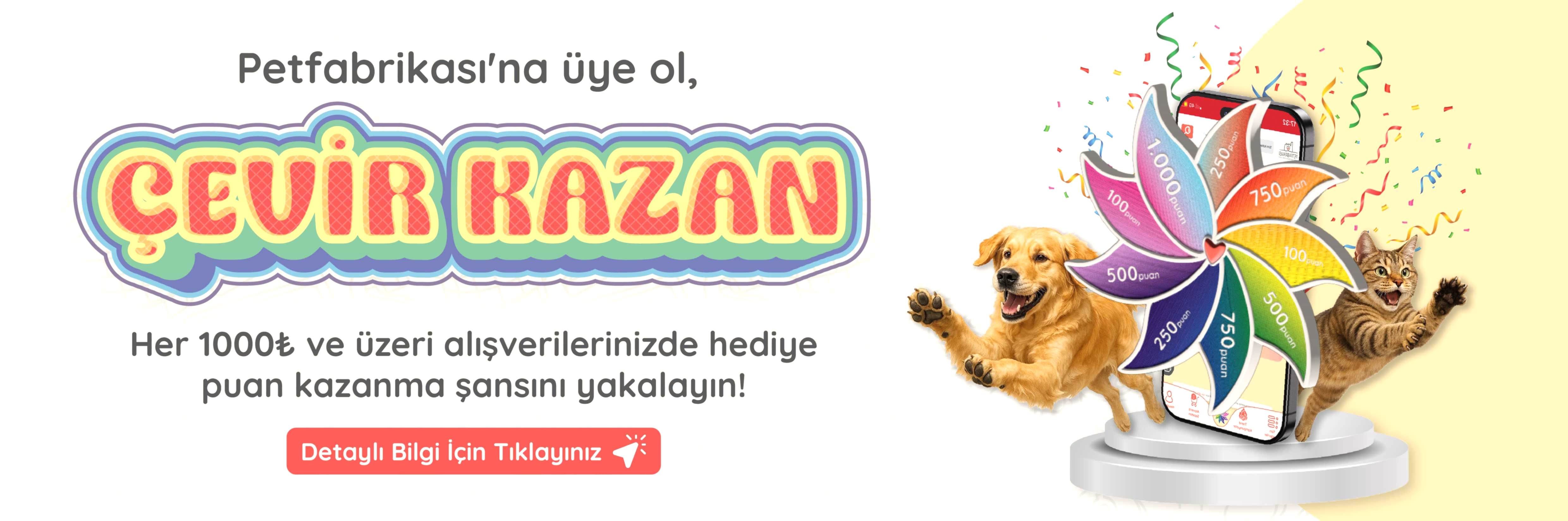 Hediye Rüzgarı - Web