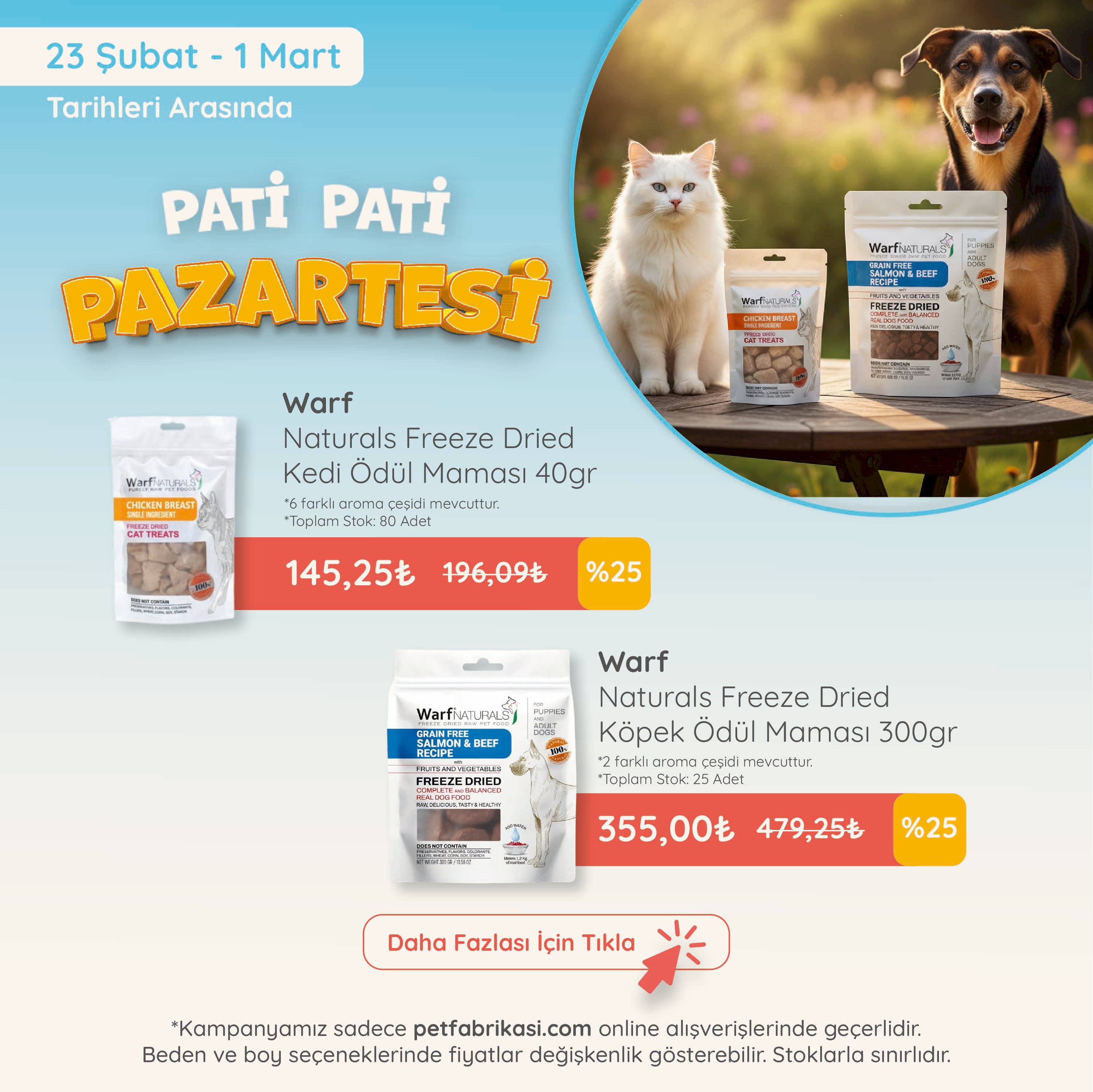 Pati Pati Pazartesi - Mobil