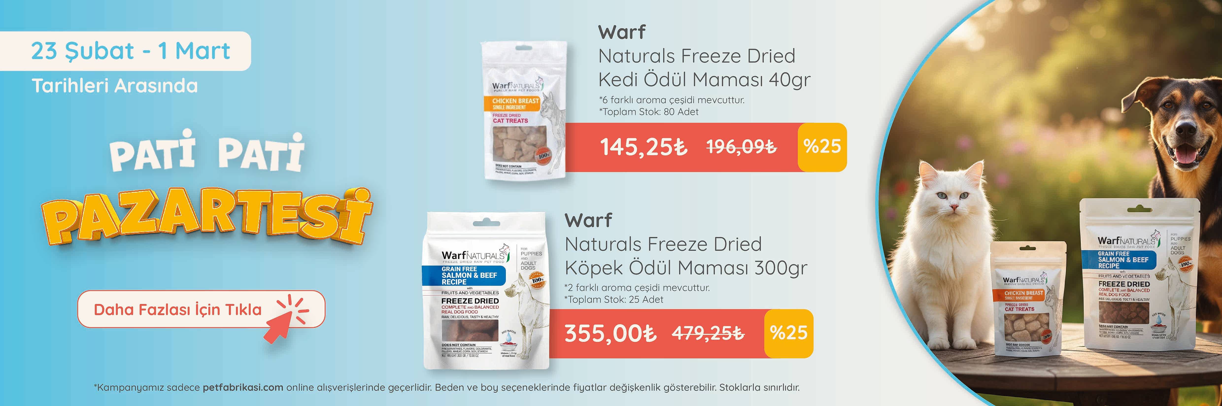 Pati Pati Pazartesi - Web