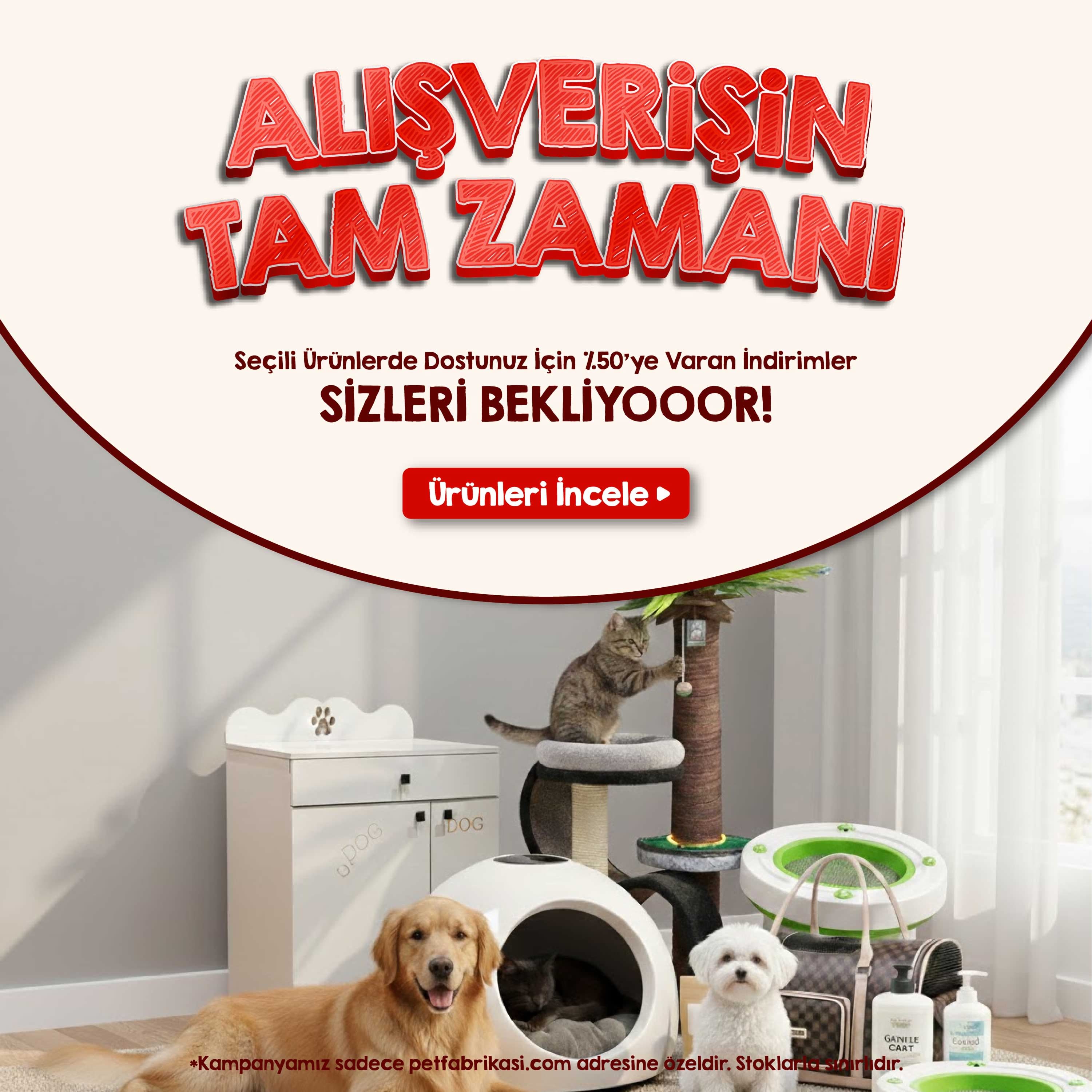 Trend Kampanyalar - Mobil